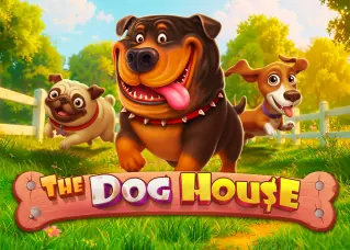 teenoi168 The Dog House ทดลองเล่นฟรี